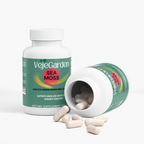 Sea Moss